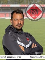 Daniel Avgustinovic